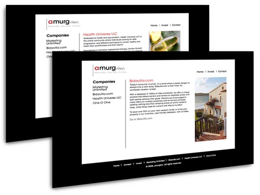 amurginc Website