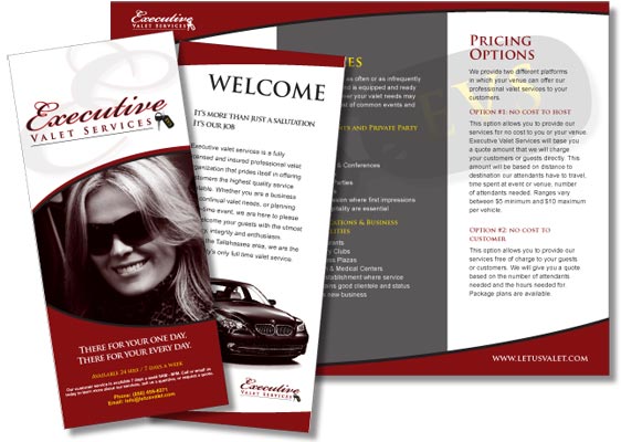 EVS Brochure